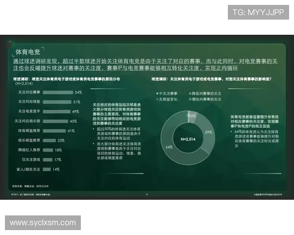 全球顶级足球联赛竞争格局与现代体育产业融合发展的深度研究