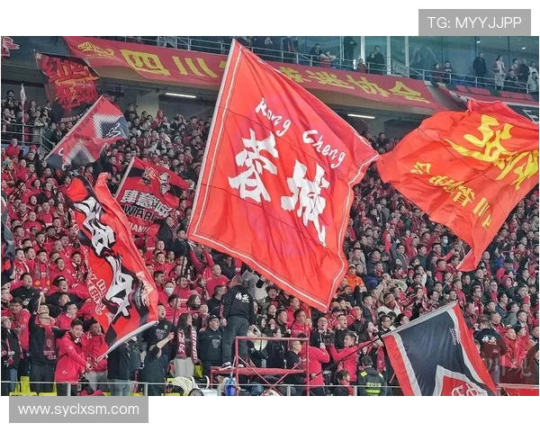 武汉三镇迎战成都蓉城，巅峰对决引发球迷狂热。