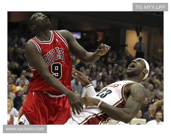 2009年NBA季后赛骑士与公牛的激烈对决回顾与分析